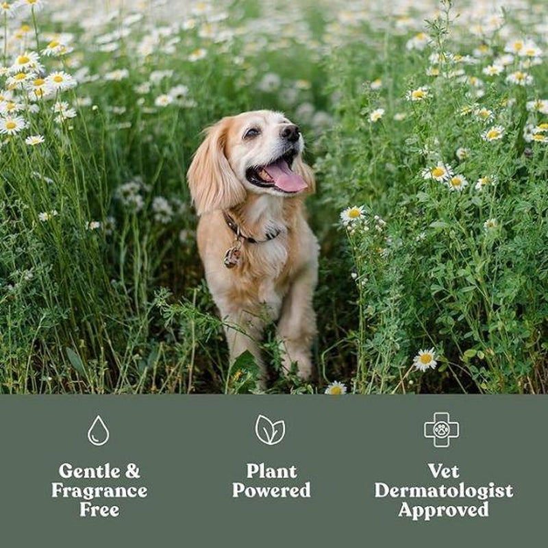 Dog standing in a field of flowers with product features listed below.