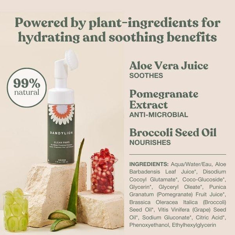 Dandy Lion skincare product with aloe vera, pomegranate, and broccoli seed oil on a beige background