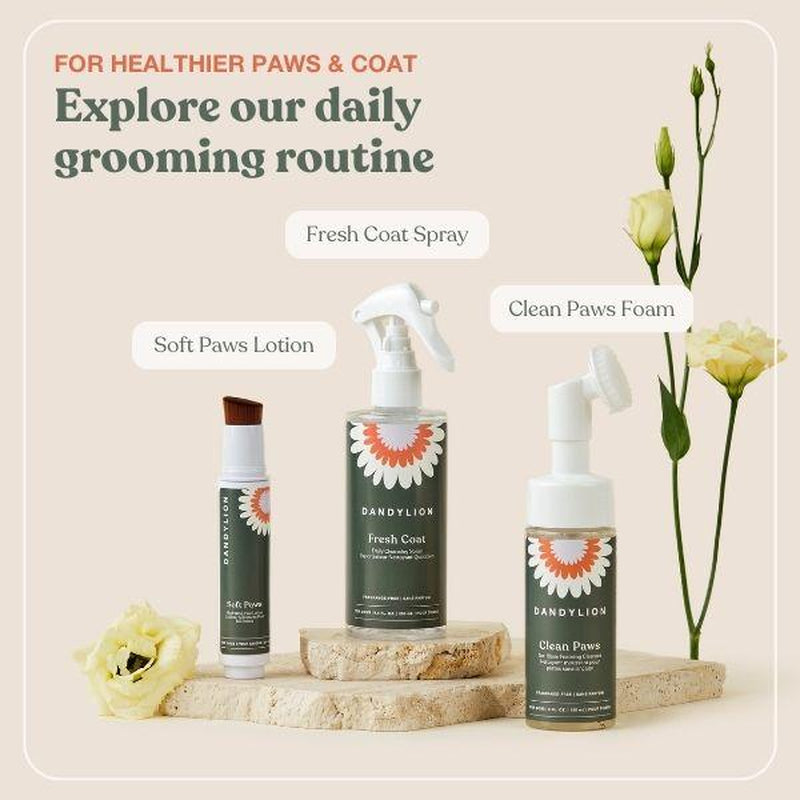 DANDYLIUM pet care products including Fresh Coat Spray, Soft Paws Lotion, and Clean Paws Foam on a neutral background with flowers.
