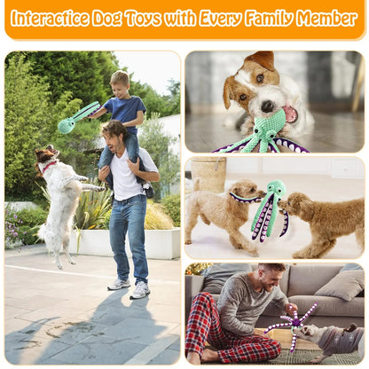 Collage of dogs playing with interactive toys, including a child and family members.