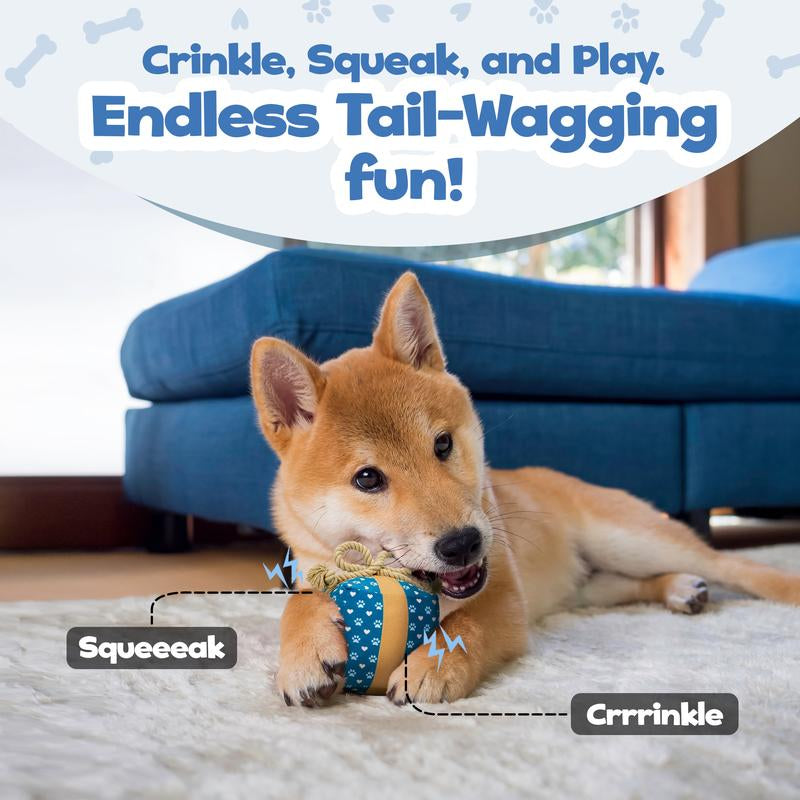 Perfect Birthday Gift Box for Your Dog – Squeaky Plush Toy