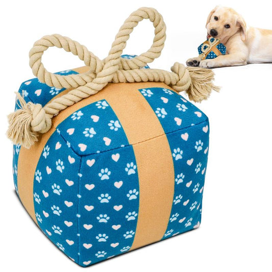 Perfect Birthday Gift Box for Your Dog – Squeaky Plush Toy