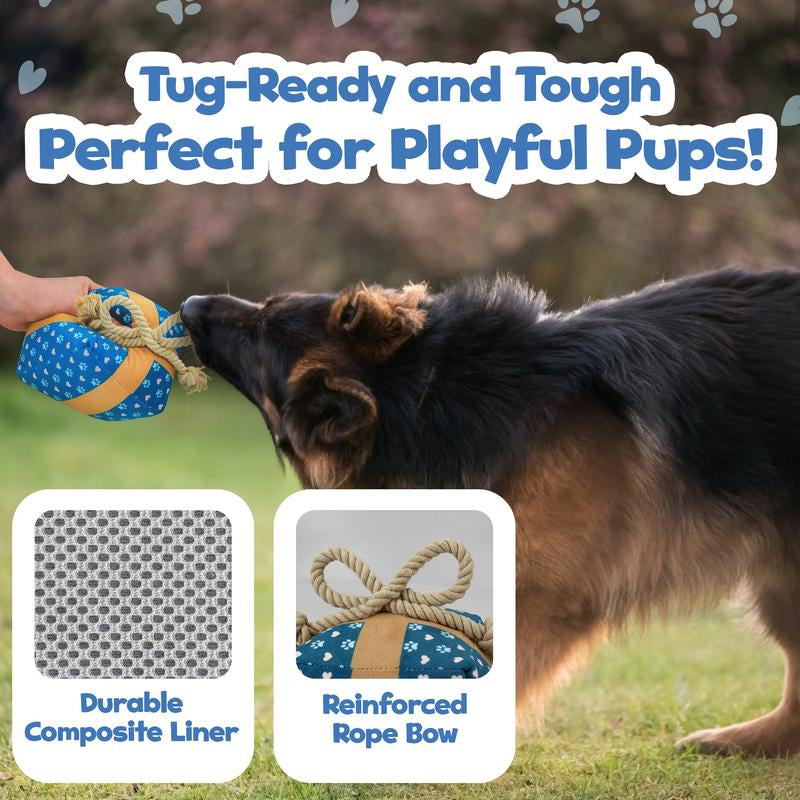 Perfect Birthday Gift Box for Your Dog – Squeaky Plush Toy
