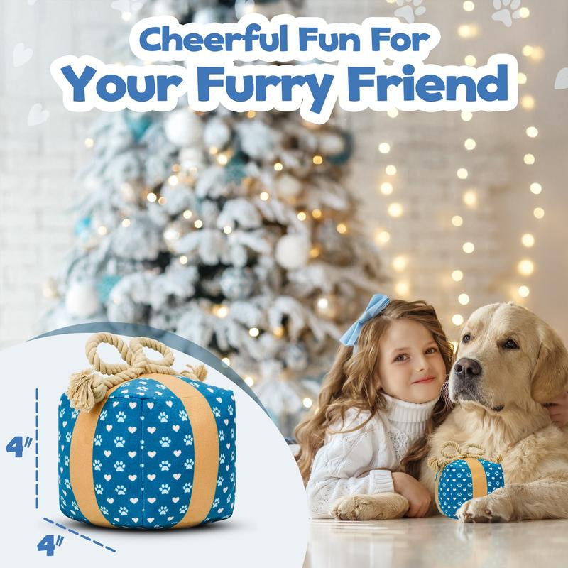 Perfect Birthday Gift Box for Your Dog – Squeaky Plush Toy