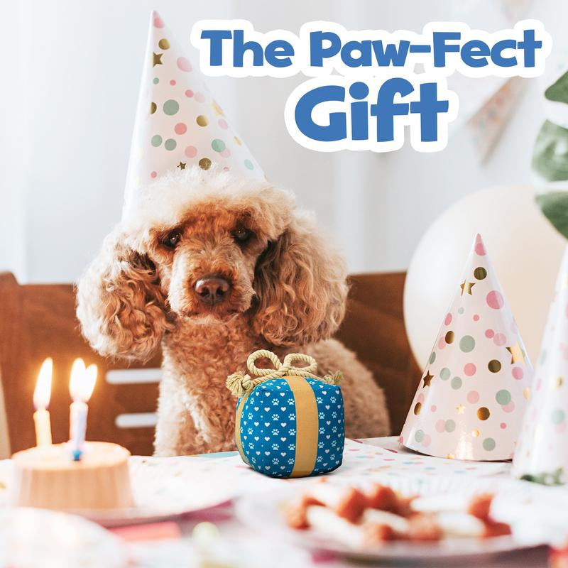 Perfect Birthday Gift Box for Your Dog – Squeaky Plush Toy