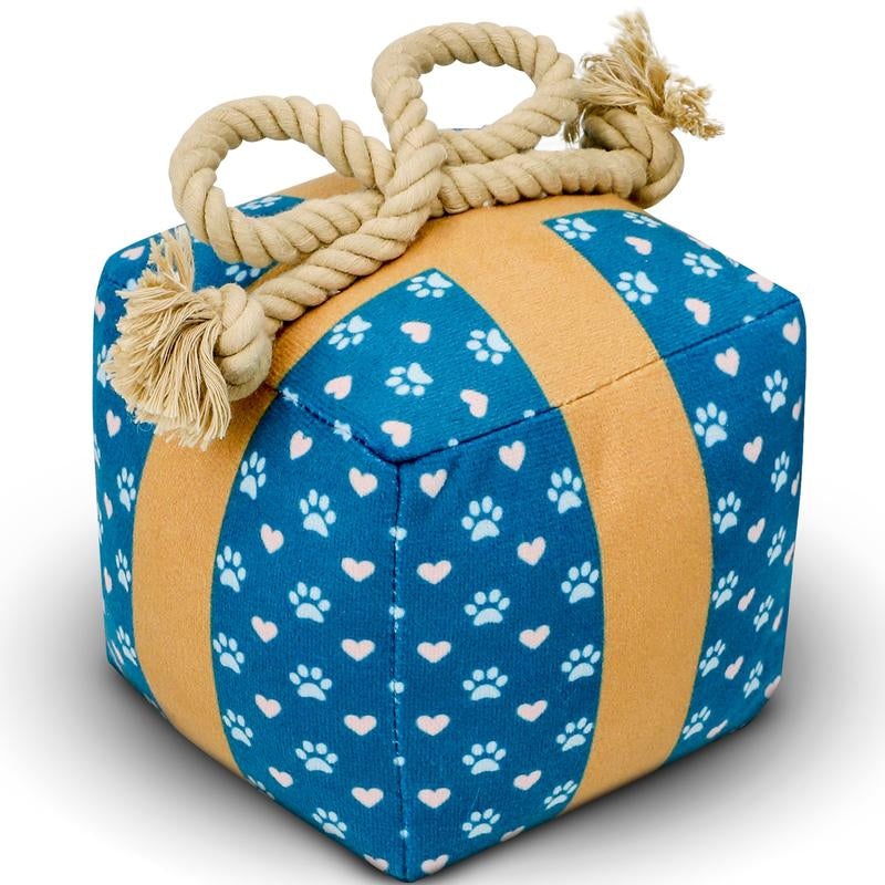 Perfect Birthday Gift Box for Your Dog – Squeaky Plush Toy