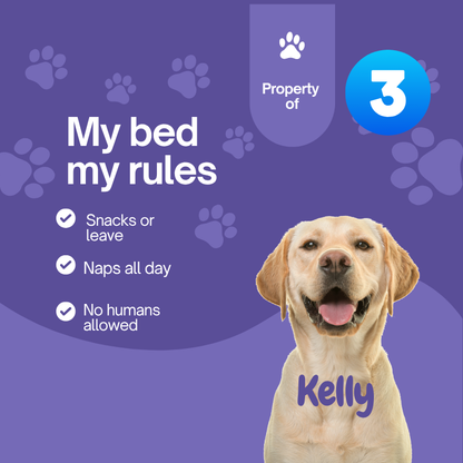 Dog named Kelly with a list of 'My bed, my rules' on a purple background