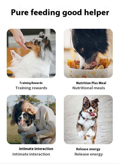 Healthy pets enjoying the benefits of Pet Puppy Vitamin, promoting overall well-being with pure feeding and essential nutrients