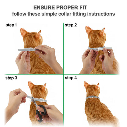 Step-by-step instructions on how to properly use the ProGuard Flea & Tick Collar, including how to adjust and fit for your pet