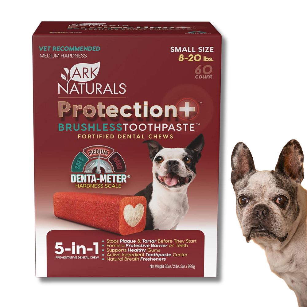 Box of Ark Naturals Protection+ Brushless Toothpaste Fortified Dental Chews for dogs with a dog on a white background