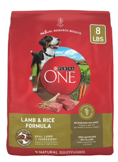 Purina ONE High Protein Dry Dog Food with Lamb & Rice, 8 lb bag, promoting muscle strength and overall health for active dogs.