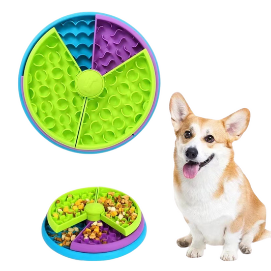 Colorful dog puzzle toy with a dog sitting next to it on a white background