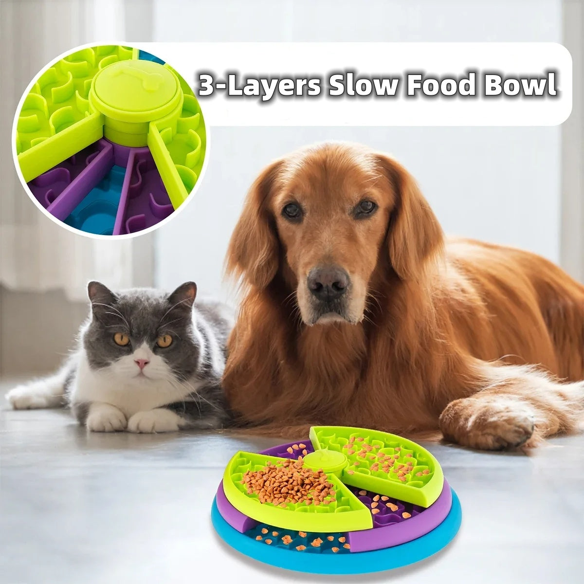 Dog and cat with a colorful 3-layer slow food bowl on a light background