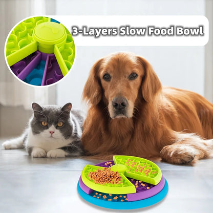 Dog and cat with a colorful 3-layer slow food bowl on a light background
