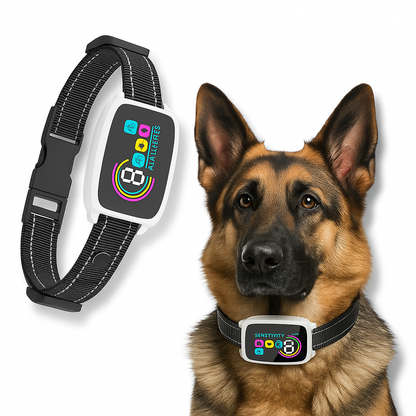 Smart Rechargeable Anti-Bark Dog Collar HD Display white with dog wearing it. 