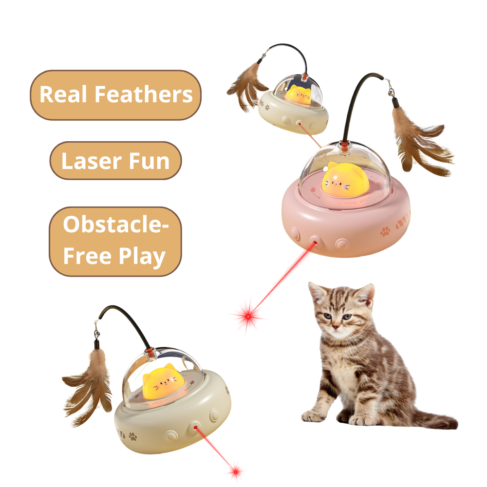 Cat toy with real feathers, laser, and obstacle-free play features on a white background.