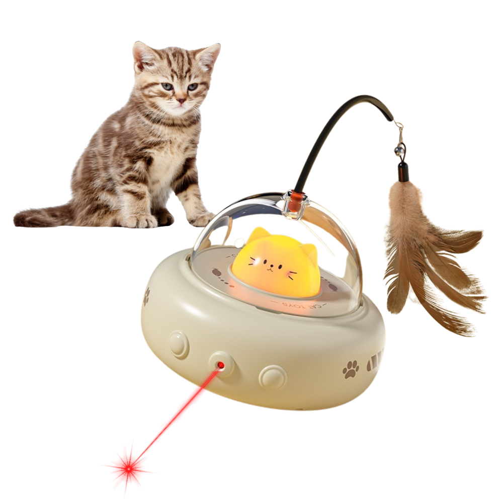 Cat toy with laser pointer and feather attachment next to a kitten on a white background
