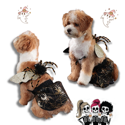 Two dogs wearing spider-themed costumes on a white background