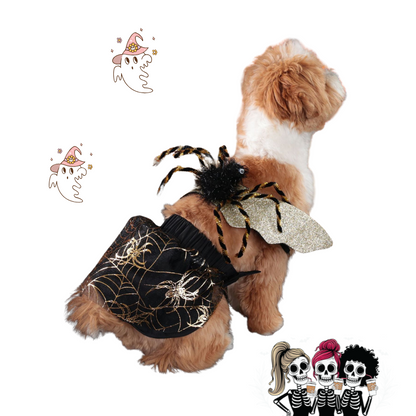 Dog wearing a Halloween-themed spider and web costume on a white background