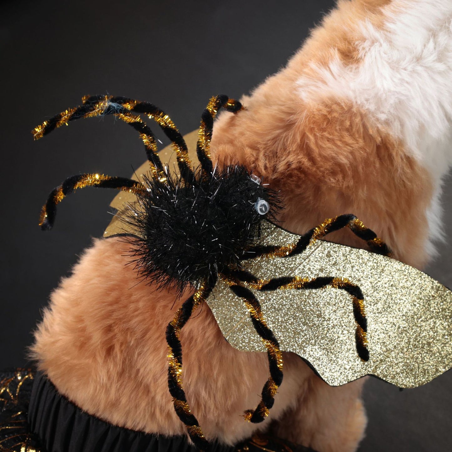 Dog wearing a Halloween spider mask with gold and black details on a dark background