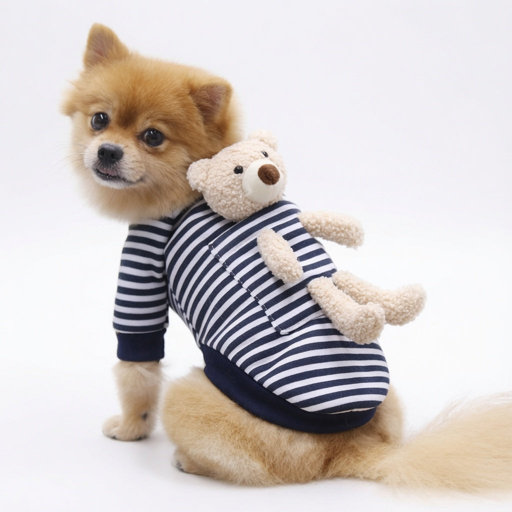 Small dog wearing a striped Teddy Bear Dog Sweater holding a teddy bear on a white background