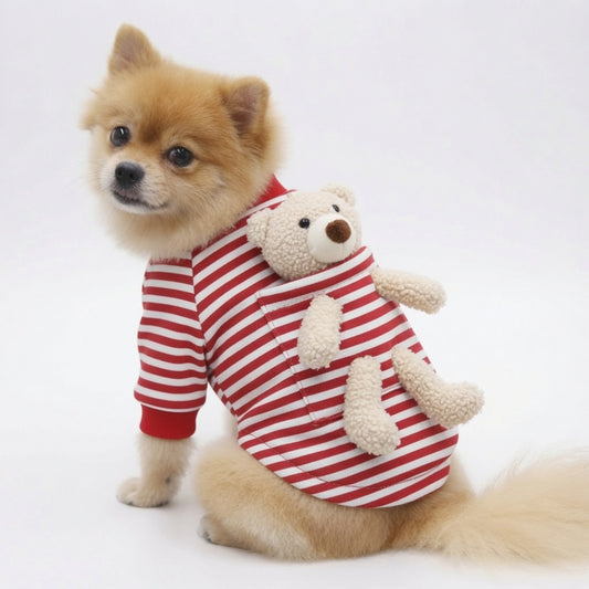 Small dog wearing a red and white striped Teddy Bear Dog Sweater with a teddy bear toy on a white background
