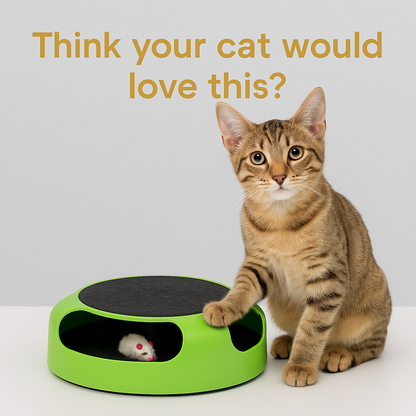 Cat playing with a green Cat Scratch Board Toy mouse on a white background