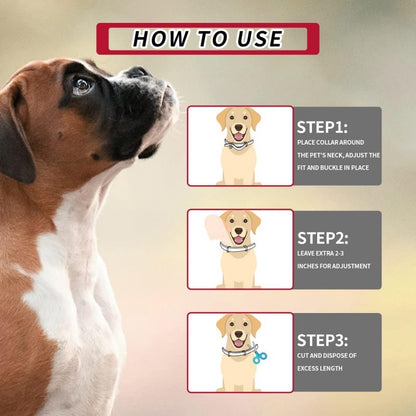 Tick & Flea Collar for Dogs – Waterproof, Safe & Effective picture showing step by step how to use the collar. 