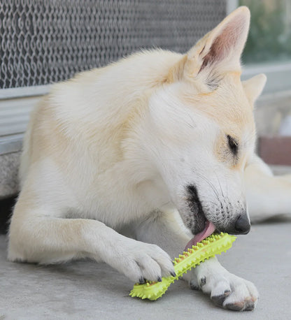 Dog playing with a green chew toy on a concrete surface.
