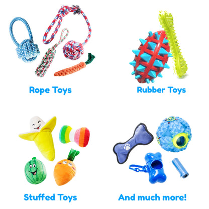 Collection of dog toys including rope, rubber, stuffed, and bone-shaped toys on a white background.