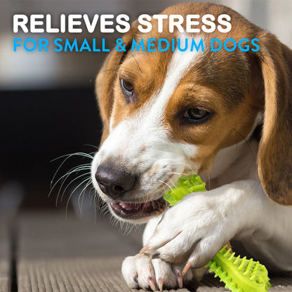 Dog chewing on a green toy with text 'RELIEVES STRESS FOR SMALL & MEDIUM DOGS' above.