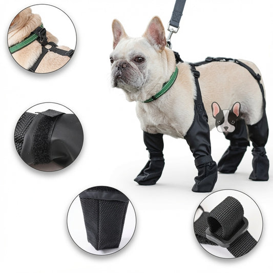 Dog wearing a Waterproof Adjustable Dog Boots with close-up insets on a white background