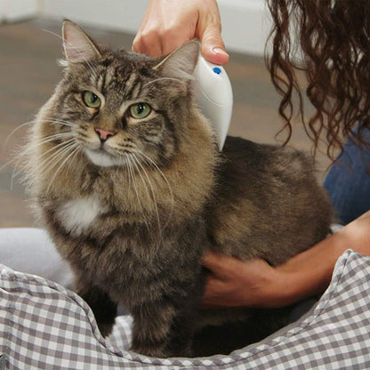 Woman gently using Flea Doctor Electric Flea Comb on her cat, effectively removing fleas without the use of chemicals.