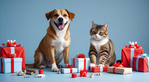 YEP Dog and cat sitting among Christmas presents on a blue background