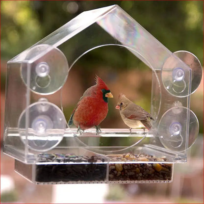 Bird Feeder. Smart Bird Feeder with Camera. - Happy Pets