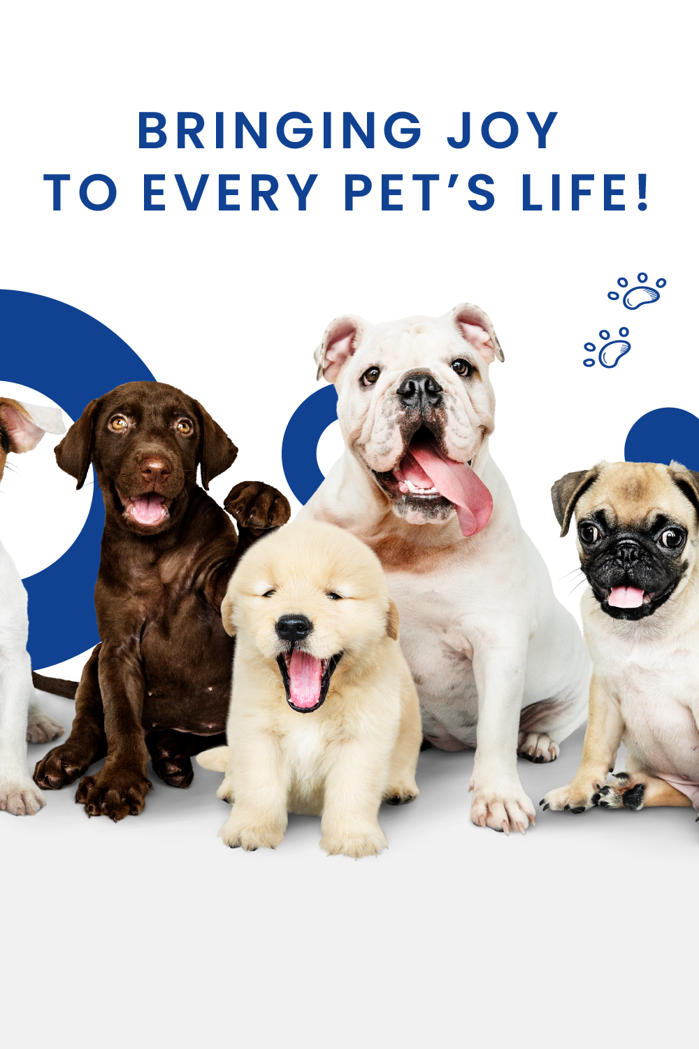 many very happy pets banner movil
