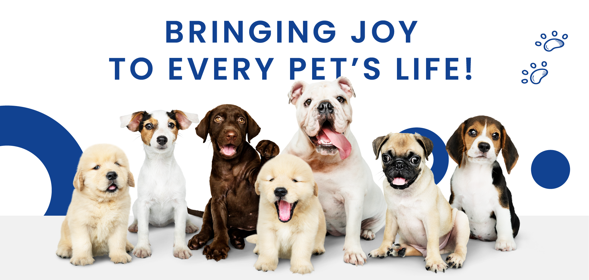 many pets smiling very happy 