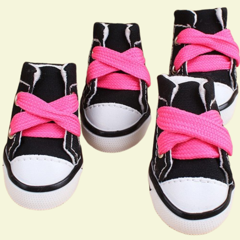 Small dog wearing four canvas sneakers, perfectly fitted on each paw, standing on a sidewalk — photorealistic image focused on pet shoes black variant