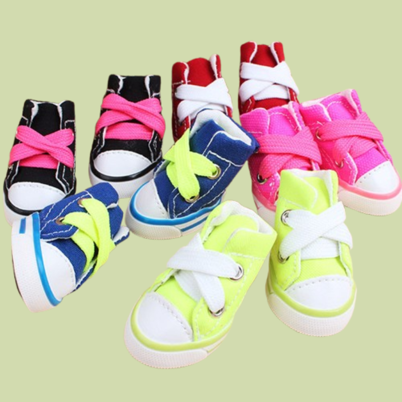 Small dog wearing four canvas sneakers, perfectly fitted on each paw, standing on a sidewalk — photorealistic image focused on pet shoes all variants