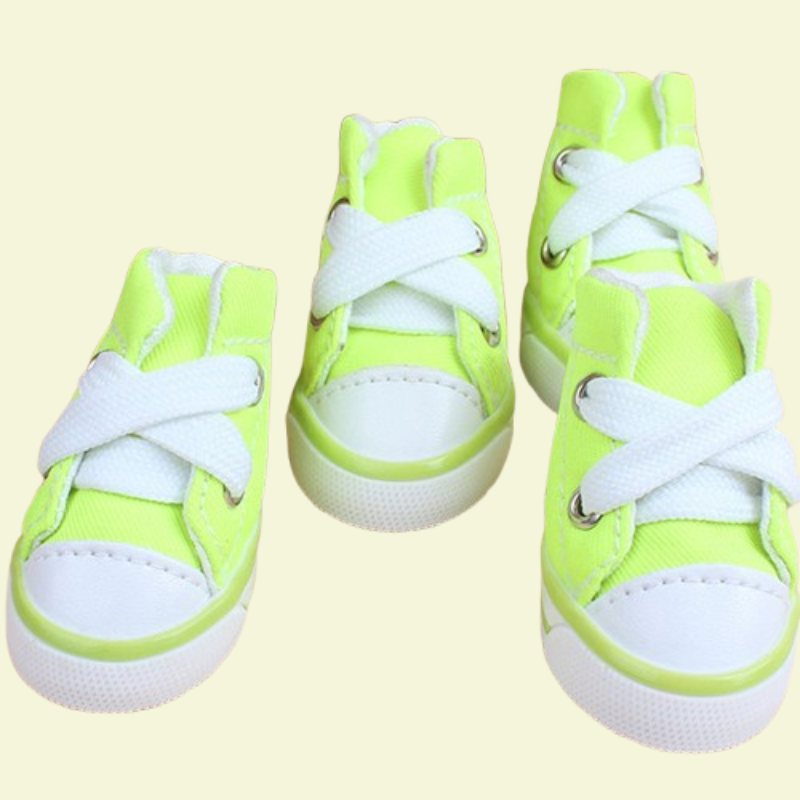 Small dog wearing four canvas sneakers, perfectly fitted on each paw, standing on a sidewalk — photorealistic image focused on pet shoes green variant