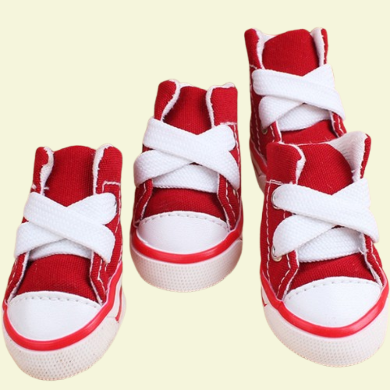 Small dog wearing four canvas sneakers, perfectly fitted on each paw, standing on a sidewalk — photorealistic image focused on pet shoes red variant