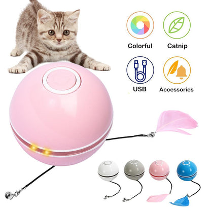 Cat playing with all USB variant LED pet toy balls in different colors