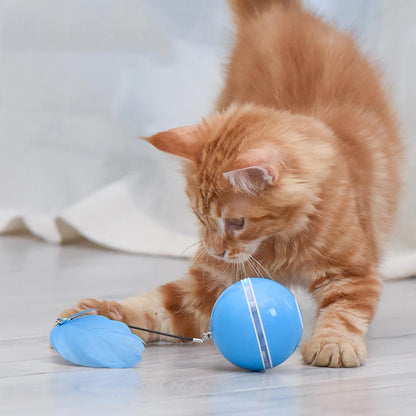 Cat playing with a blue interactive toy ball, enjoying the movement and lights