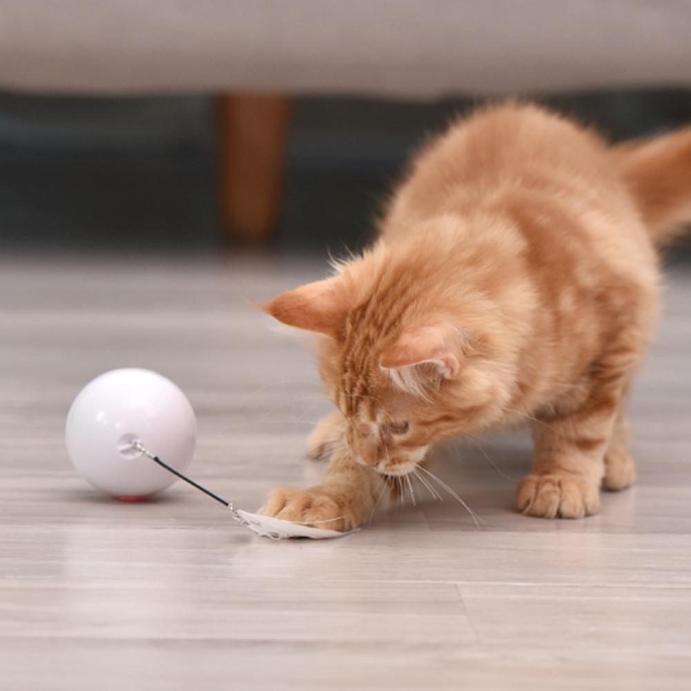 Cat playing with a white interactive toy ball, enjoying the movement and lights