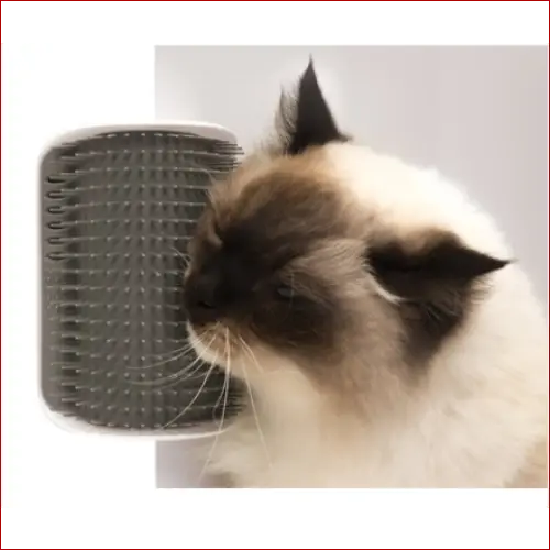 Cat self-grooming brush pet wall rubbing device-dog