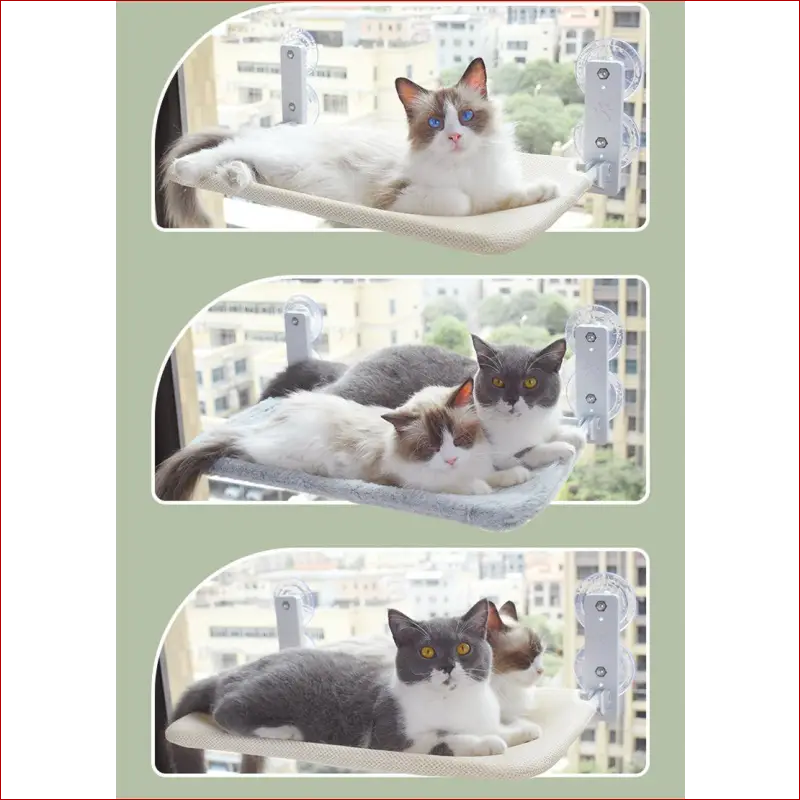 Cat suction cup window glass hammock pet cat pets products -