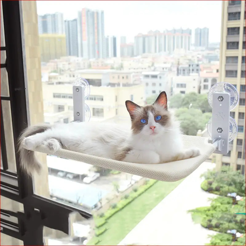 Cat suction cup window glass hammock pet cat pets products -