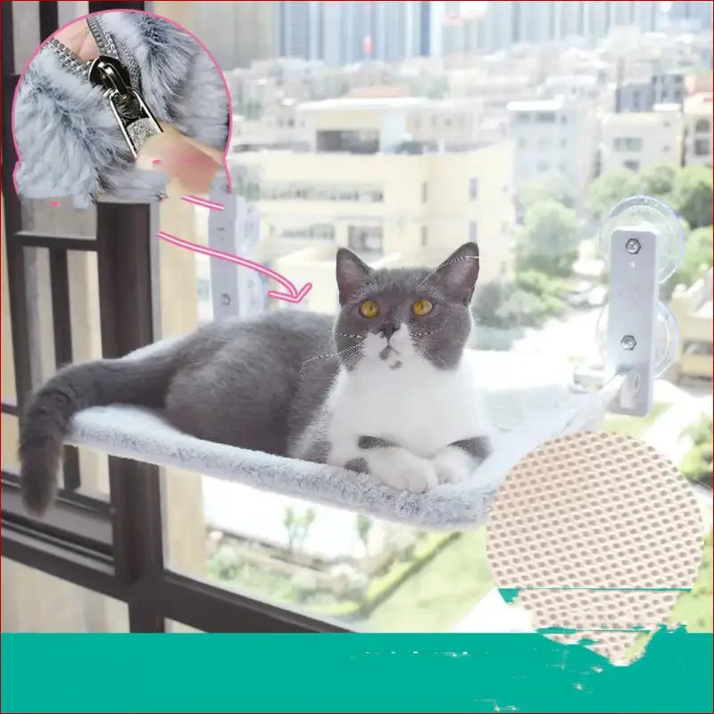 Cat suction cup window glass hammock pet cat pets products -