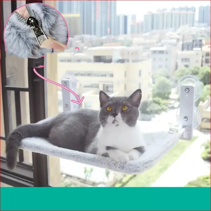 Cat suction cup window glass hammock pet cat pets products -