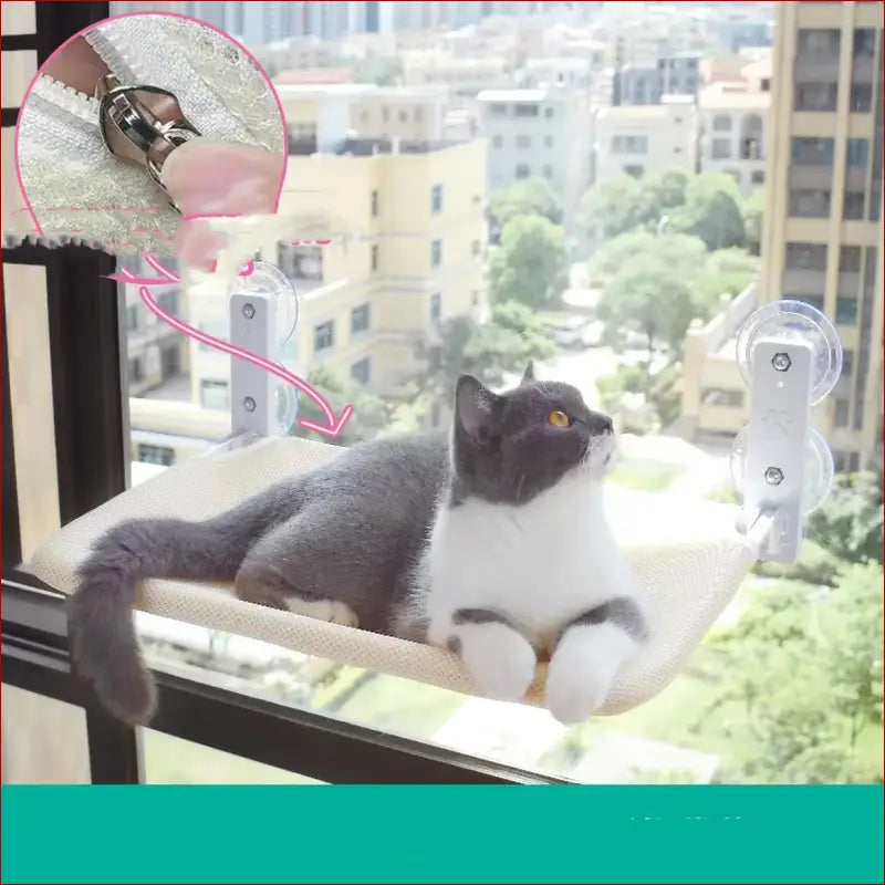 Cat suction cup window glass hammock pet cat pets products -